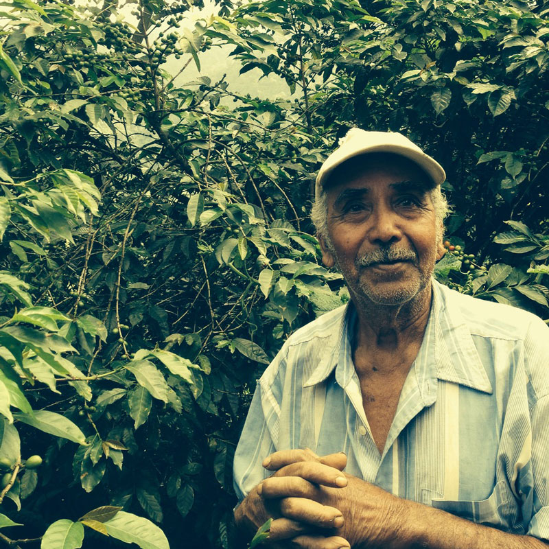 Coffee School Project El Salvador